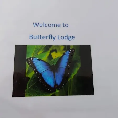 Butterfly Lodge Swansea Exterior photo